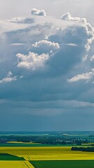 Wall Mural - aerial view of cumulonimbus clouds above blooming yellow rapeseed fields, vertical