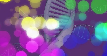 Wall Mural - One-second bokeh spheres drifting across rotating DNA helix, shifting wireframes representing motif