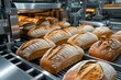 © Michael - Artisanal Bread Loaves on High Efficiency Processing Line Featuring Sanitary Production Practices