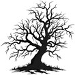 © rabby - Gnarled black tree silhouette on white branches