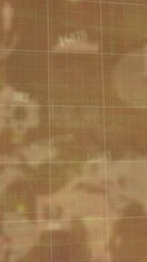 Wall Mural - animation of graphs and data processing over world map and charts on brown background