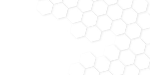 Wall Mural - Abstract background with hexagon, modern abstract vector polygonal pattern. Futuristic honeycomb mosaic white background,white and gray hexagon honeycomb geometric copy space.