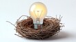 © creative - Glowing light bulb nestling in bird nest symbolizing innovation
