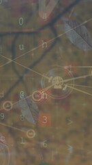 Wall Mural - animation of connections and data processing over tree