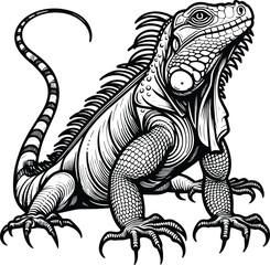 Realistic Iguana engraving line art Vector illustration isolated on a white background