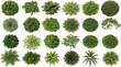 © Lotus - Top view green trees set, realistic tree foliage collection, landscape planning clipart, botanical garden elements, aerial plant design illustrations