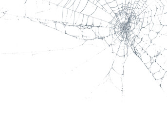 Wall Mural - Delicate spiderweb glistens against a stark black backdrop, highlighting its intricate design and natural craftsmanship, transparent background