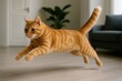 © Michael - Ginger tabby cat jumping gracefully in a modern apartment