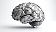 © Bibi - 3D model of a brain