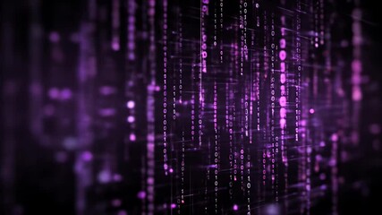 Wall Mural - binary code stream abstract concept in purple with bokeh background