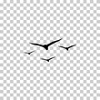 © saad - Birds Flying in Formation Icon – Minimalist Style