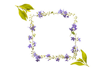 Wall Mural - little purple flowers and leaf arrangement flat lay square postcard style 