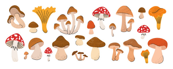 Mushroom set. Fly agaric, chanterelle, honey mushroom, porcini mushroom, brown birch bolete