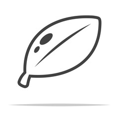 Wall Mural - single leaf outline icon transparent vector isolated
