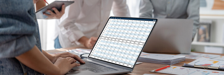 Wall Mural - accounting software on computer screen showing financial statement spreadsheets and account balance 