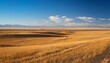 © Miller - golden steppes stretching to the horizon under a clear blue sky highlighting the vast and open terrain of eastern kazakhstan