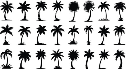 Thirty Five Black Silhouette Palm Tree Variations Tropical Icons Set Graphic Design Elements