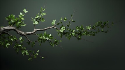 Delicate tree branch elegantly displays vibrant green leaves against a serene, muted backdrop, evoking nature's quiet beauty.