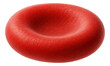 © studioworkstock - Erythrocyte with slightly oval form and uniform red coloration