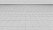 © Iryna - Abstract wireframe perspective grid on white background.