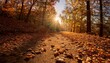 © Mason - sunlit shadows dance over fallen leaves scattered on a dirt path capturing the essence of a tranquil autumn day