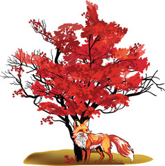 Wall Mural - orange fox under red fall tree isolated on white