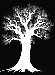 Canvas Print - single bare trees silhouette isolated on black