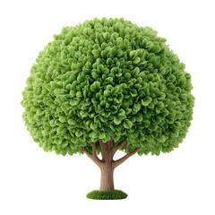stylized tree with dense green foliage and textured bark detail.