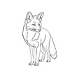 © EymN a - Continuous Line Drawing of a Standing Fox Looking Sideways