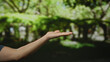 © Krakenimages.com - Man's hand extended in a lush green park setting, showcasing a serene and natural outdoor environment, highlighting the peaceful ambiance of a garden scene.