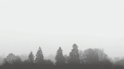 Naklejka na meble A foggy landscape with silhouettes of tall pine trees and bare deciduous trees, creating a calm and mysterious atmosphere.