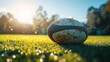 © Elite Force - Rugby ball resting on dewy grass field during a golden hour sunrise with bokeh effect