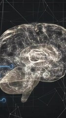 Wall Mural - animation of human brain and data processing over dark background