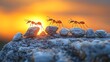 © asrori - Ants carrying rocks at sunset