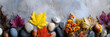 © Daniel - Natural autumn background with colorful leaves, twigs, bark, stones and other natural items on concrete texture. Banner format with copy space.