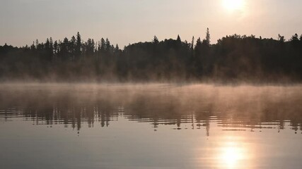 Wall Mural - View of a calm northern lake just after sunrise with mist on the water and reflection of trees in the rippling water.