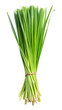 © RazibChandra - Fresh bundle of green lemongrass leaves isolated on transparent white background, clipping path