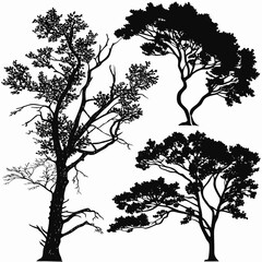  Black silhouettes of trees and foliage leaves