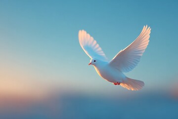 Wall Mural - flying upward into blue sky with warm light symbolizing peace