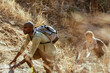 © Marko Geber - Young and diverse group of friends and hikers hiking together in the mountains of south africa