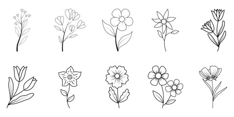 Set of botanical flower line art. Creative floral in minimalist flowery line art for print, tattoo. Vector isolated