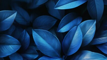 Wall Mural - deep blue leaves creating a lush, natural background