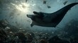 © Ascents - Manta ray swims through polluted ocean filled with trash