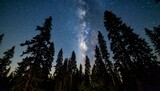 Milky Way through dark forest canopy
