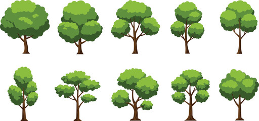 green cartoon tree collection, vector nature elements, forest tree illustrations, landscape design a