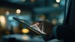 © Peindre - タブレットを使用するビジネスマン | Businessman using tablet