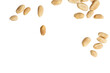 © shirophoto - The Top view photograph of peanuts scattered on white background.