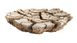 © CStock - Cracked dry wood piece, isolated on a white background.