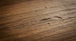 © Outkast - Close up of wood grain texture