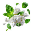 © Vasyl Onyskiv - Fresh cottage cheese with green mint leaves, isolated on white transparent background, concept of healthy food and freshness